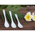 Hot sell customized small porcelain spoon